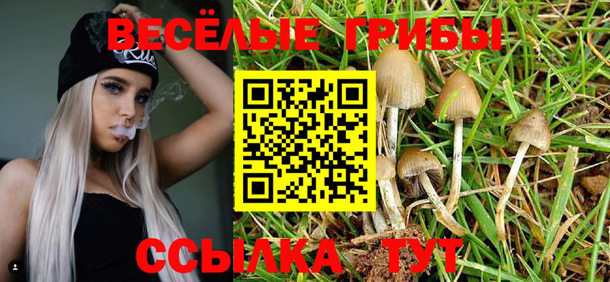 Галлюциногенные грибы Magic Shrooms  Вход с VPN  Воткинск 