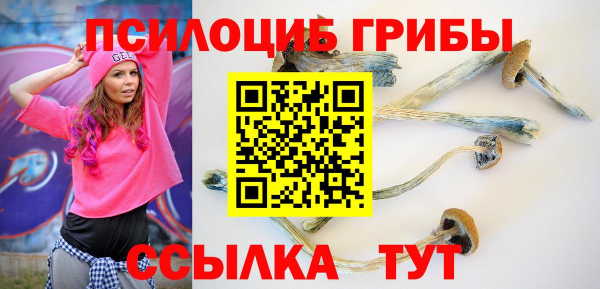 Псилоцибиновые грибы мицелий Воткинск